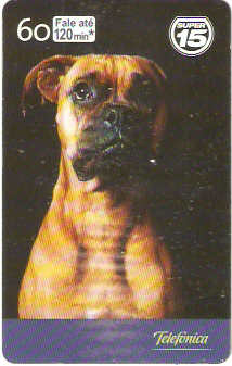 SP-1955 - Dia do Cão - 07/10