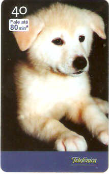 SP-2514 - Filhotes - 01/10