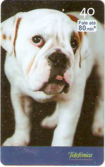 SP-2516 - Filhotes - 03/10