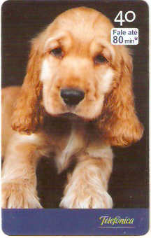 SP-2517 - Filhotes - 04/10