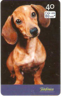 SP-2518 - Filhotes - 05/10