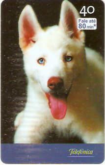 SP-2519 - Filhotes - 06/10