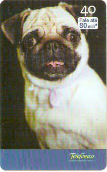 SP-2527 - Filhotes - 09/10 - A