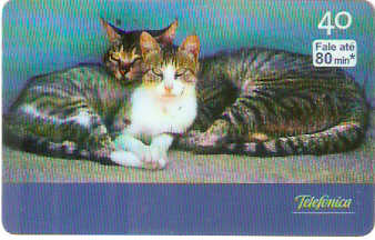 SP-2798 - Curiosidades - 1/6