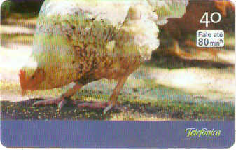 SP-2799 - Curiosidades - 2/6