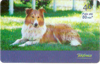 SP-2800 - Curiosidades - 3/6