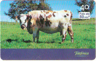 SP-2804 - Curiosidades - 6/6 - A