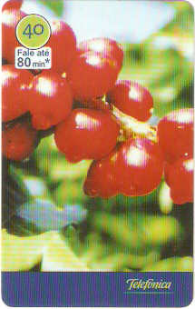 SP-2947 - Café - 1/6