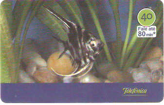 SP-3012 - Peixes - 01/10