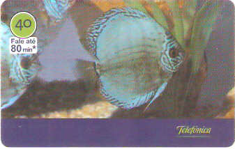 SP-3014 - Peixes - 03/10