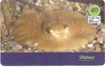 SP-3015 - Peixes - 04/10