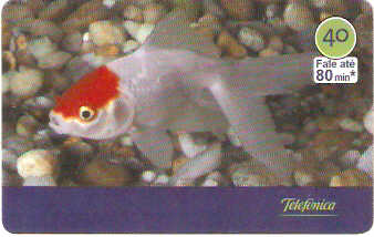 SP-3016 - Peixes - 05/10