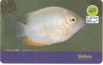 SP-3018 - Peixes - 07/10