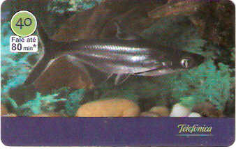 SP-3019 - Peixes - 08/10