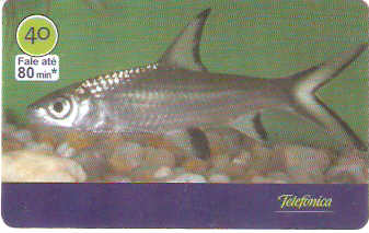 SP-3020 - Peixes - 09/10