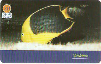 SP-3431 - Animais Marinhos - 01/10