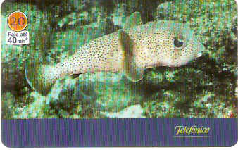 SP-3434 - Animais Marinhos - 04/10