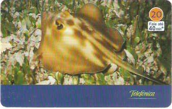 SP-3435 - Animais Marinhos - 05/10