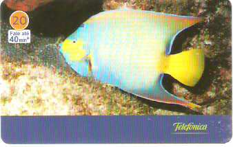 SP-3436 - Animais Marinhos - 06/10