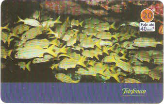 SP-3437 - Animais Marinhos - 07/10