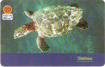 SP-3438 - Animais Marinhos - 08/10