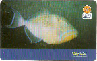 SP-3439 - Animais Marinhos - 09/10