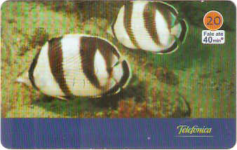 SP-3440 - Animais Marinhos - 10/10