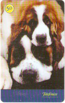 SP-3536 - Cães 2004 - 50 - 02/10