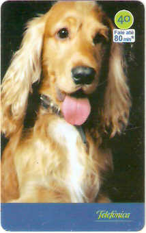 SP-3537 - Cães 2004 - 40 - 03/10