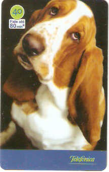 SP-3539 - Cães 2004 - 40 - 04/10
