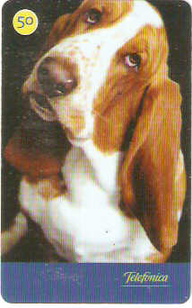 SP-3540 - Cães 2004 - 50 - 04/10