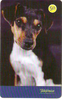 SP-3545 - Cães 2004 - 50 - 07/10 - A