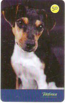 SP-3546 - Cães 2004 - 50 - 07/10 - B