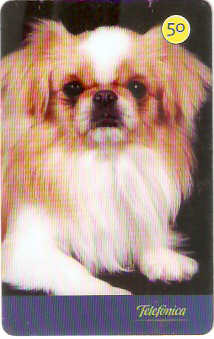 SP-3548 - Cães 2004 - 50 - 08/10 - B