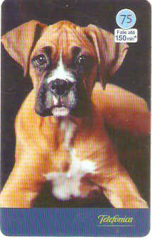 SP-3549 - Cães 2004 - 75 - 09/10