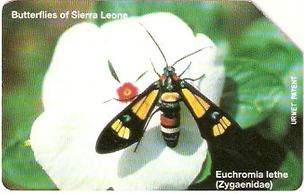 SRL-11 - Borboletas - 25