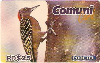 STD-C022 - El Carpintero