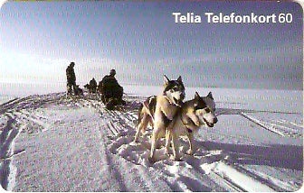 SWE-249 - Trenó
