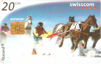 SWI-C-042 - Cavalos