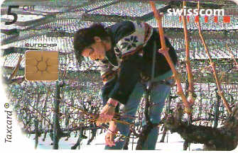 SWI-C-055b - Poda