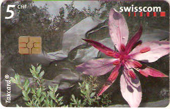 SWI-C-124 - Flor
