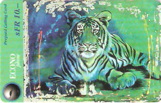 SWI-E024 - Tigre