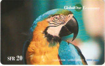SWI-G082 - Arara Colorida