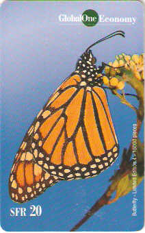 SWI-G114 - Borboleta - 4