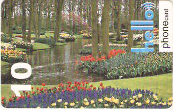 SWI-H14 - Jardim com Flores