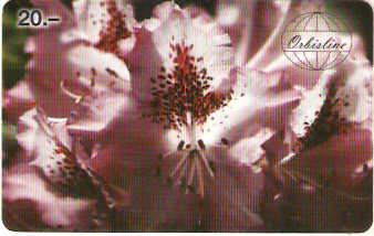 SWI-OFL02A - Flor