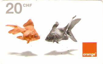 SWI-OR07 - Peixes