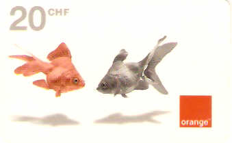 SWI-OR09 - Peixes