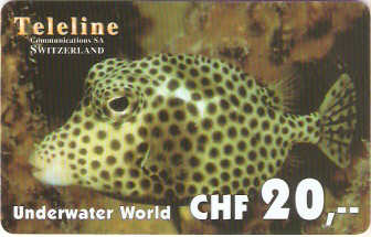 SWI-T0849 - Peixe