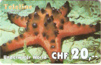 SWI-T0844 - Estrela do Mar